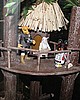 C5day2 238.jpg