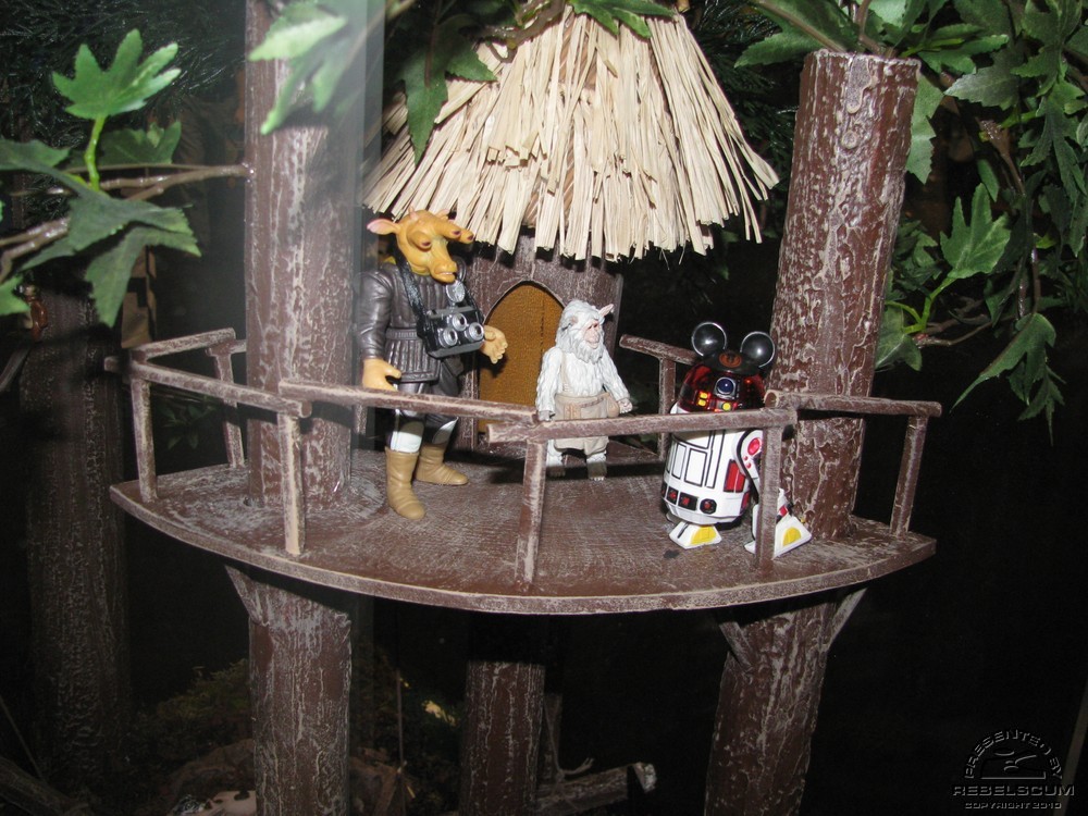 C5day2 238.jpg