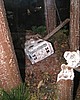 C5day2 239.jpg