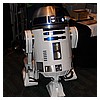 IMG_3512.JPG