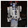 IMG_3513.JPG