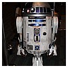 IMG_3519.JPG