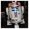 IMG_3531.JPG