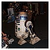 IMG_3546.JPG