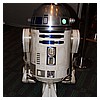 IMG_3555.JPG