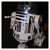 IMG_3562.JPG
