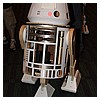 IMG_3568.JPG
