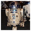 IMG_3571.JPG