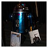 IMG_3573.JPG