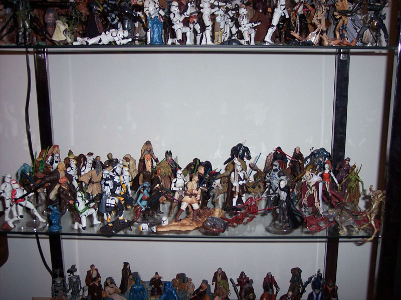 Reg Wydeven's Collection