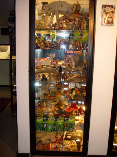 Cesar Bernal's Collection