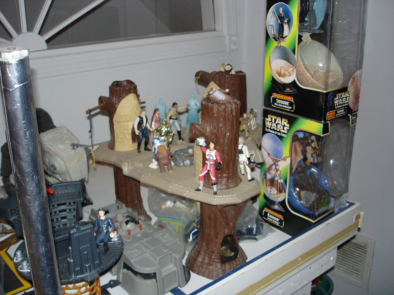 Rick and Rob Cavallaro's Collection
