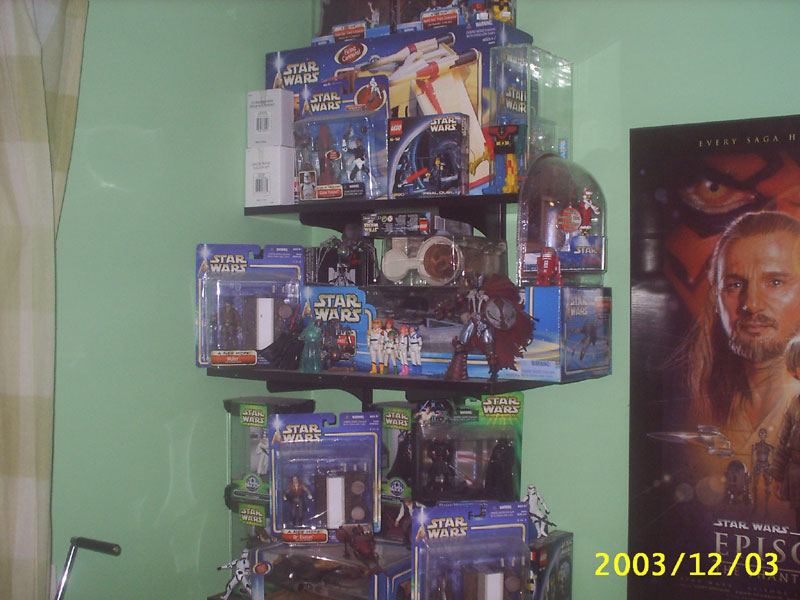 Steve Fish's Collection