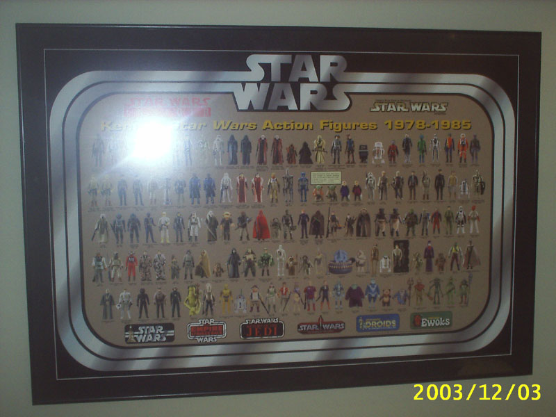Steve Fish's Collection