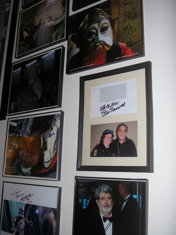 Carol Gilbert's Collection