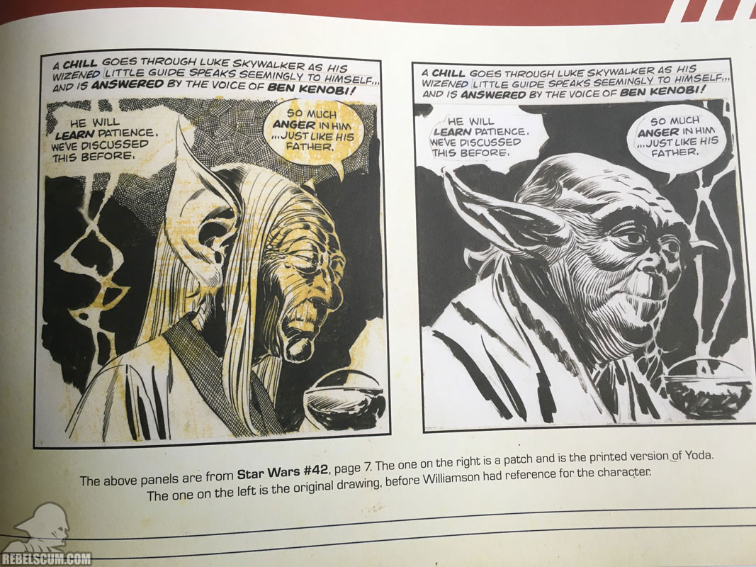 Star Wars: The Empire Strikes Back Artist Edition (Page Detail)