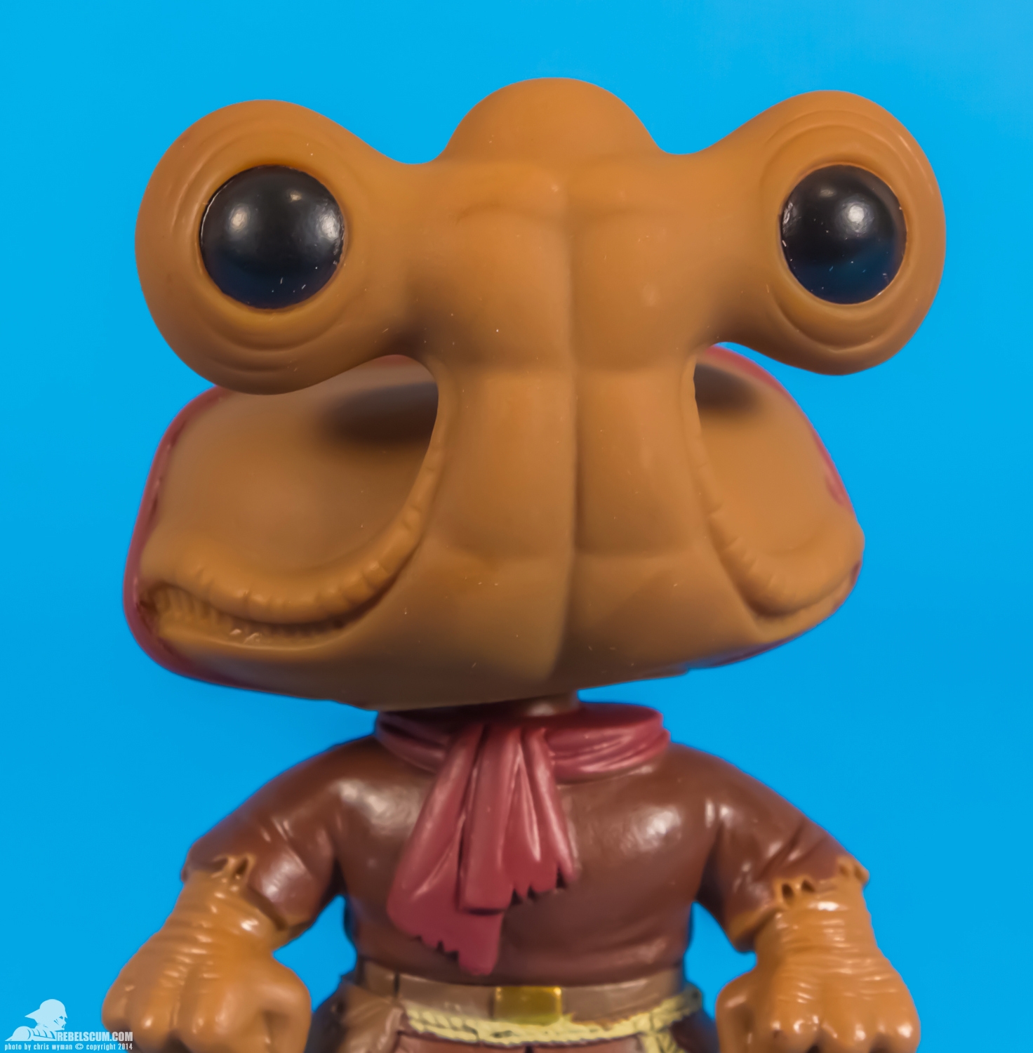 37-Hammerhead-vinyl-bobble-head-Funko-Star-Wars-Pop-005.jpg