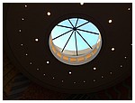 IMG_4992.jpeg