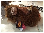 IMG_5681.jpeg