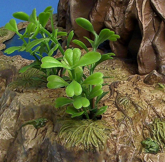 srcdagobahplants.jpg