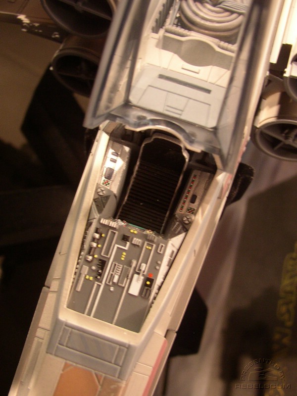 P2150042.JPG