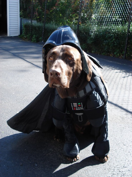 Darth_Kobi.jpg