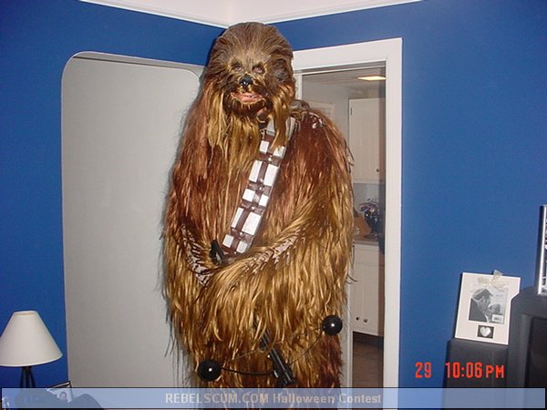 Dave Santia as Chewy