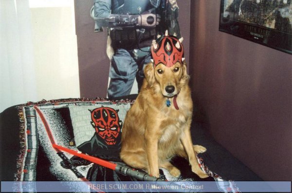 Chewy%20as%20Darth%20Maul