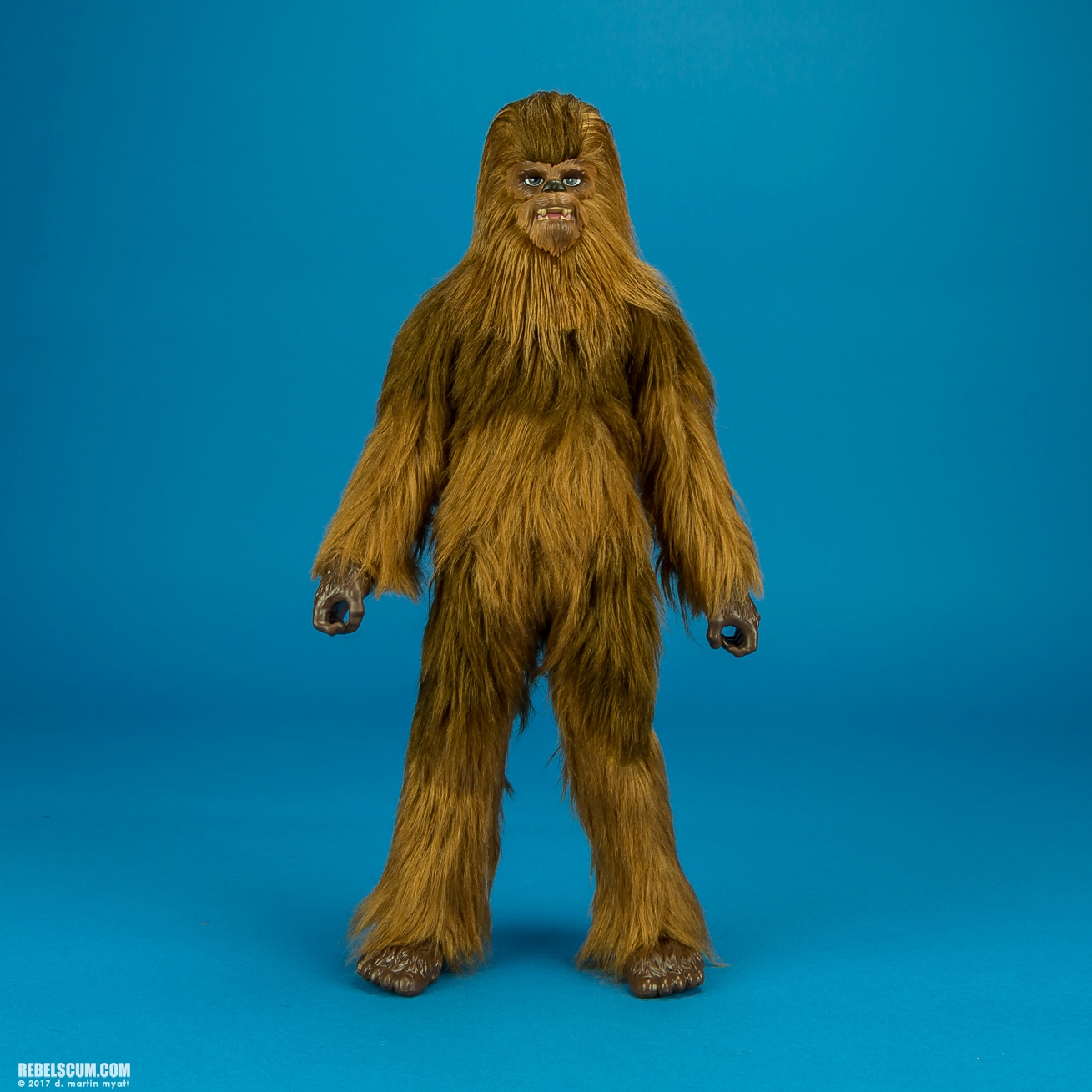 Chewbacca-Roaring-Star-Wars-Forces-of-Destiny-Hasbro-005.jpg