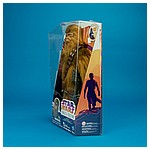 Chewbacca-Roaring-Star-Wars-Forces-of-Destiny-Hasbro-017.jpg