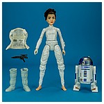 Forces-Of-Destiny-Princess-Leia-Organa-R2-D2-009.jpg