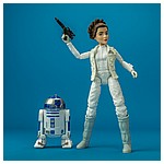 Forces-Of-Destiny-Princess-Leia-Organa-R2-D2-011.jpg