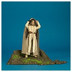 Luke-Skywalker-Jedi-Master-Ahch-To-Island-The-Black-Series-009.jpg