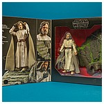 Luke-Skywalker-Jedi-Master-Ahch-To-Island-The-Black-Series-023.jpg