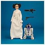 Princess-Leia-Organa-Forces-Of-Destiny-Platinum-Edition-009.jpg