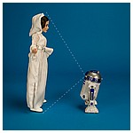 Princess-Leia-Organa-Forces-Of-Destiny-Platinum-Edition-012.jpg