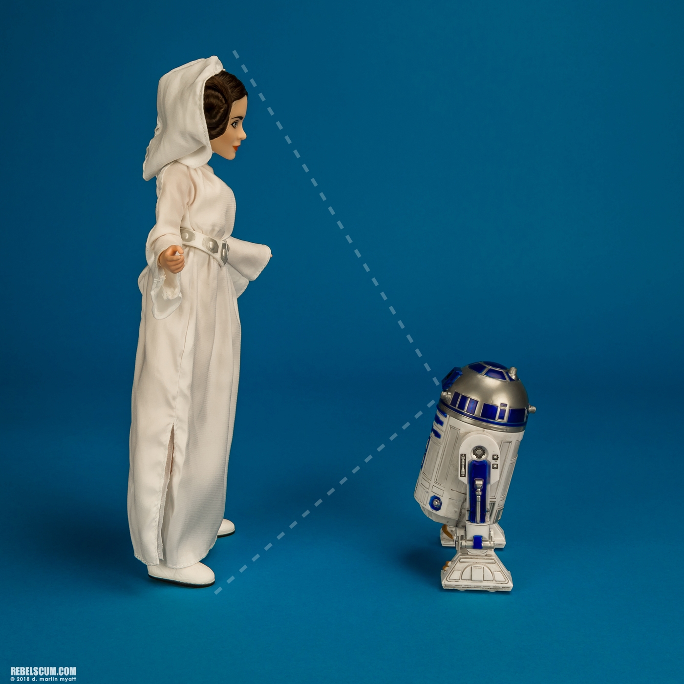 Princess-Leia-Organa-Forces-Of-Destiny-Platinum-Edition-012.jpg