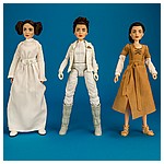 Princess-Leia-Organa-Forces-Of-Destiny-Platinum-Edition-014.jpg