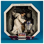 Princess-Leia-Organa-Forces-Of-Destiny-Platinum-Edition-017.jpg