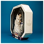 Princess-Leia-Organa-Forces-Of-Destiny-Platinum-Edition-019.jpg