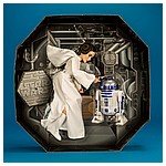 Princess-Leia-Organa-Forces-Of-Destiny-Platinum-Edition-023.jpg