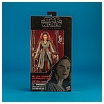 Rey-Jedi-Training-44-The-Black-Series-6-inch-Variation-001.jpg