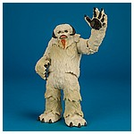 Wampa-Luke-Skywalker-Hoth-Star-Wars-Universe-Hasbro-012.jpg