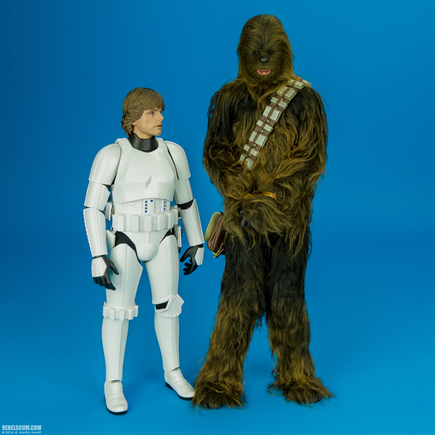 Hot-Toys-MMS304-Luke-Skywalker-Stromtrooper-Disguise-Version-017.jpg