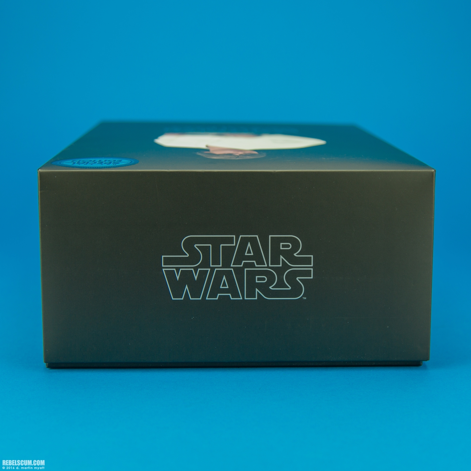 Luke-Skywalker-MMS297-Hot-Toys-Star-Wars-A-New-Hope-048.jpg