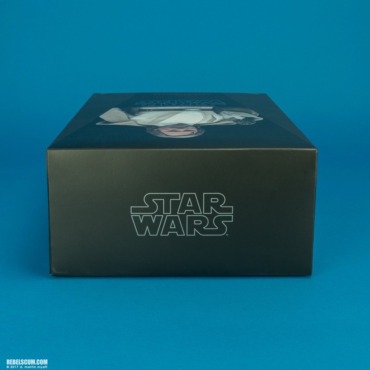 MMS390-Luke-Skywalker-The-Force-Awakens-Hot-Toys-035.jpg