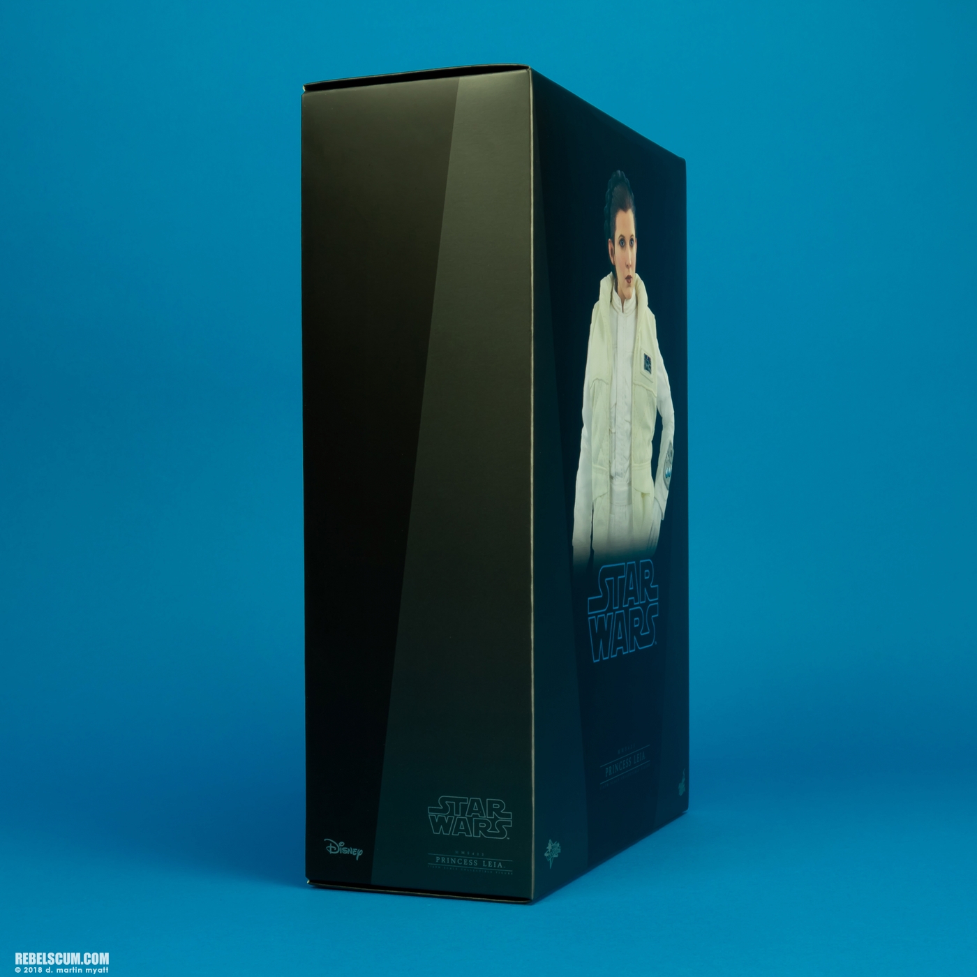 MMS423-Princess-Leia-Organa-Hoth-Hot-Toys-024.jpg