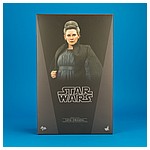 MMS459 Leia Organa The Last Jedi 1/6 scale Collectible Figure from Hot Toys
