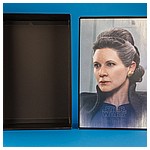 MMS459 Leia Organa The Last Jedi 1/6 scale Collectible Figure from Hot Toys