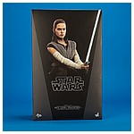 MMS446 Rey (Jedi Training) The Last Jedi 1/6 scale Movie Masterpiece Series collectible figure from Hot Toys